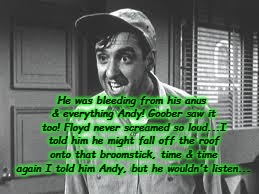 Gomer Pyle | He was bleeding from his anus & everything Andy! Goober saw it too! Floyd never screamed so loud...I told him he might fall off the roof onto that broomstick, time & time again I told him Andy, but he wouldn't listen... | image tagged in gomer pyle | made w/ Imgflip meme maker