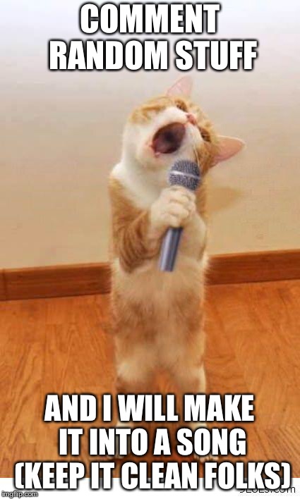 Cat Singer | COMMENT RANDOM STUFF; AND I WILL MAKE IT INTO A SONG (KEEP IT CLEAN FOLKS) | image tagged in cat singer | made w/ Imgflip meme maker