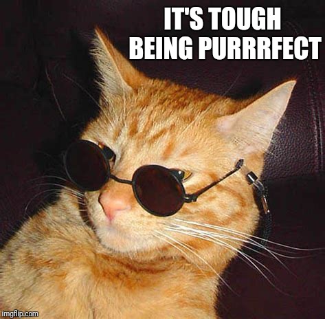 IT'S TOUGH BEING PURRRFECT | made w/ Imgflip meme maker