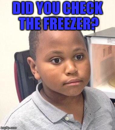 Minor Mistake Marvin Meme | DID YOU CHECK THE FREEZER? | image tagged in memes,minor mistake marvin | made w/ Imgflip meme maker