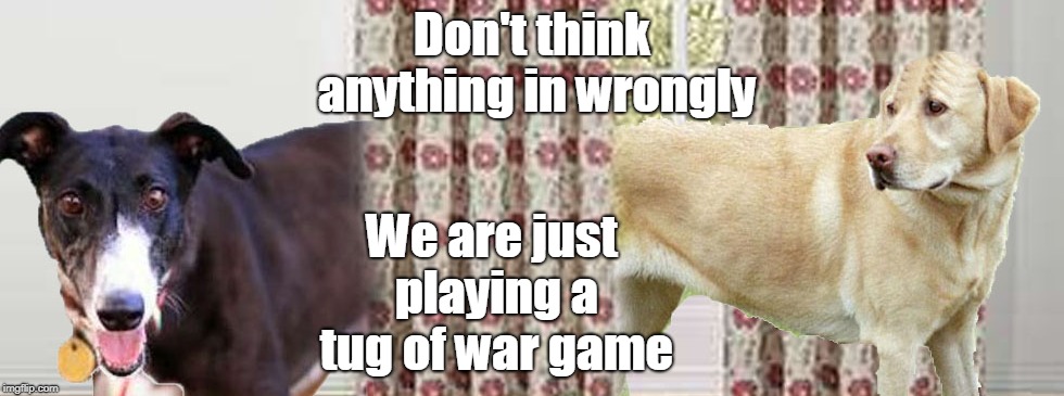 Tug of war | Don't think anything in wrongly; We are just playing a tug of war game | image tagged in funny | made w/ Imgflip meme maker