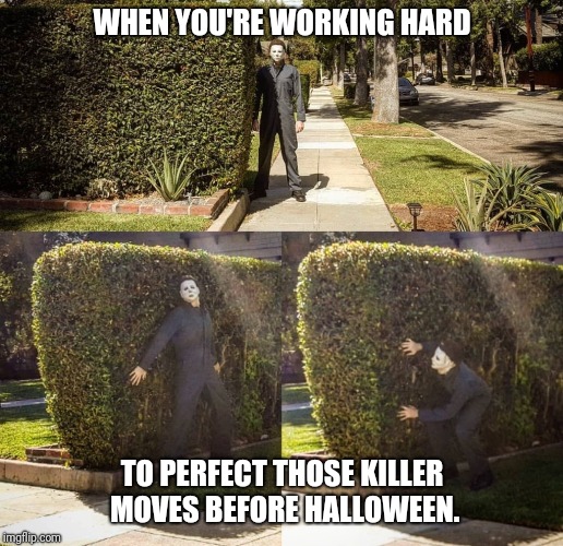 Michael Myers | WHEN YOU'RE WORKING HARD; TO PERFECT THOSE KILLER MOVES BEFORE HALLOWEEN. | image tagged in halloween,stupid | made w/ Imgflip meme maker