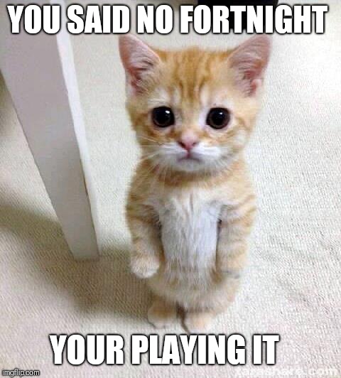 Cute Cat | YOU SAID NO FORTNIGHT; YOUR PLAYING IT | image tagged in memes,cute cat | made w/ Imgflip meme maker