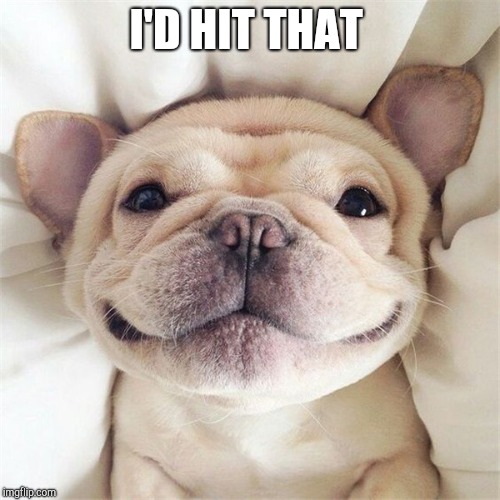 Smiling puppy | I'D HIT THAT | image tagged in smiling puppy | made w/ Imgflip meme maker