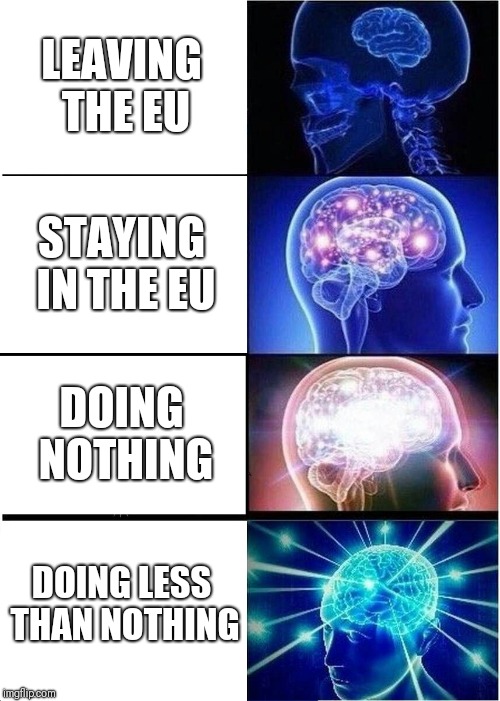 Expanding Brain | LEAVING THE EU; STAYING IN THE EU; DOING NOTHING; DOING LESS THAN NOTHING | image tagged in memes,expanding brain | made w/ Imgflip meme maker