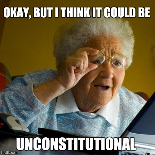 Internet Grandma | OKAY, BUT I THINK IT COULD BE UNCONSTITUTIONAL | image tagged in internet grandma | made w/ Imgflip meme maker