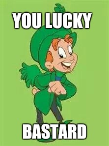 lucky charms leprechaun  | YOU LUCKY BASTARD | image tagged in lucky charms leprechaun | made w/ Imgflip meme maker