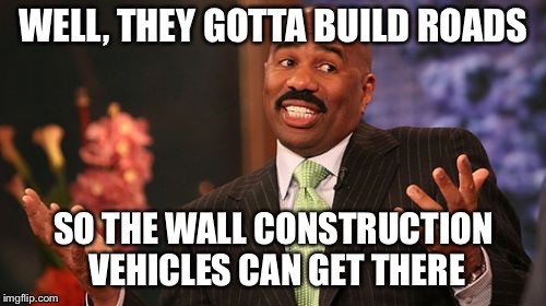 Steve Harvey Meme | WELL, THEY GOTTA BUILD ROADS SO THE WALL CONSTRUCTION VEHICLES CAN GET THERE | image tagged in memes,steve harvey | made w/ Imgflip meme maker