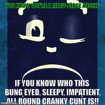 You know You're Aussie When..  | YOU KNOW YOU'RE A RIDGY-DIDGE AUSSIE; IF YOU KNOW WHO THIS BUNG EYED, SLEEPY, IMPATIENT, ALL ROUND CRANKY CUNT IS!! | image tagged in swearing,aussie,australia,lmfao,funniest memes | made w/ Imgflip meme maker