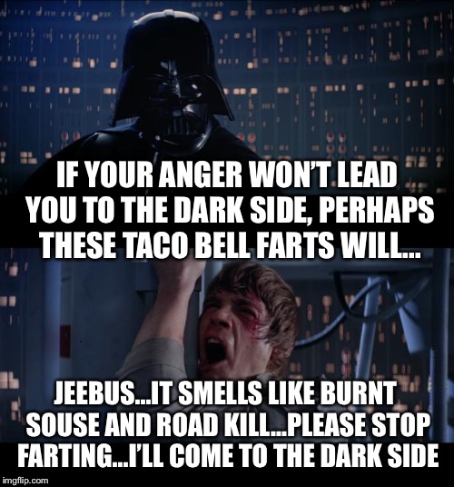 Star Wars No Meme | IF YOUR ANGER WON’T LEAD YOU TO THE DARK SIDE, PERHAPS THESE TACO BELL FARTS WILL... JEEBUS...IT SMELLS LIKE BURNT SOUSE AND ROAD KILL...PLEASE STOP FARTING...I’LL COME TO THE DARK SIDE | image tagged in memes,star wars no | made w/ Imgflip meme maker