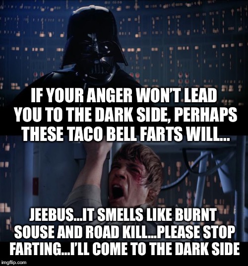 Star Wars No | IF YOUR ANGER WON’T LEAD YOU TO THE DARK SIDE, PERHAPS THESE TACO BELL FARTS WILL... JEEBUS...IT SMELLS LIKE BURNT SOUSE AND ROAD KILL...PLEASE STOP FARTING...I’LL COME TO THE DARK SIDE | image tagged in memes,star wars no | made w/ Imgflip meme maker