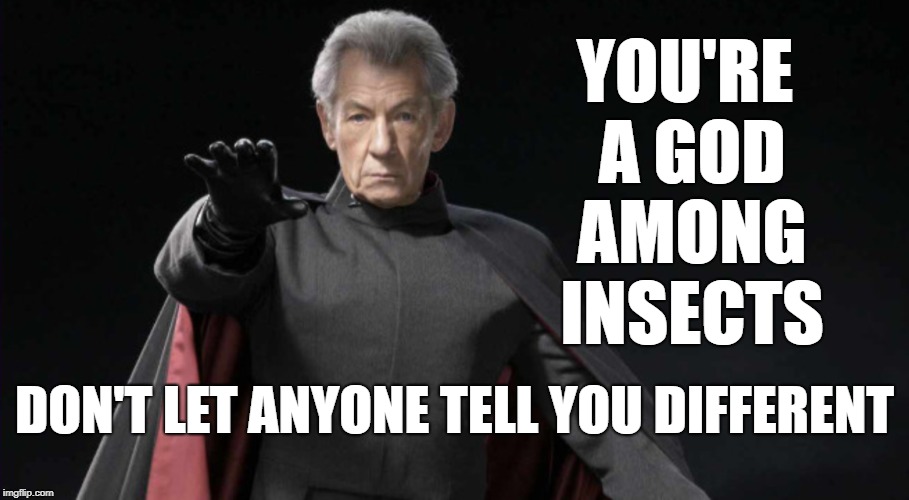God among insects | YOU'RE A GOD AMONG INSECTS; DON'T LET ANYONE TELL YOU DIFFERENT | image tagged in magneto,memes,inspirational,god among insects | made w/ Imgflip meme maker