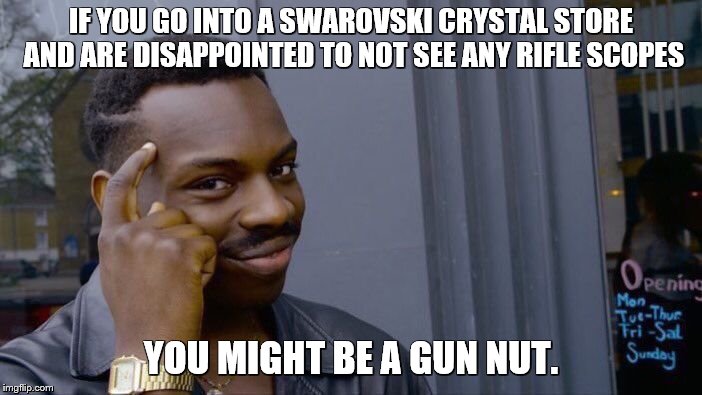 Roll Safe Think About It Meme | IF YOU GO INTO A SWAROVSKI CRYSTAL STORE AND ARE DISAPPOINTED TO NOT SEE ANY RIFLE SCOPES; YOU MIGHT BE A GUN NUT. | image tagged in memes,roll safe think about it,guns,rifle,telescope | made w/ Imgflip meme maker