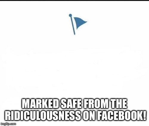Marked Safe Facebook | MARKED SAFE FROM THE RIDICULOUSNESS ON FACEBOOK! | image tagged in marked safe facebook | made w/ Imgflip meme maker