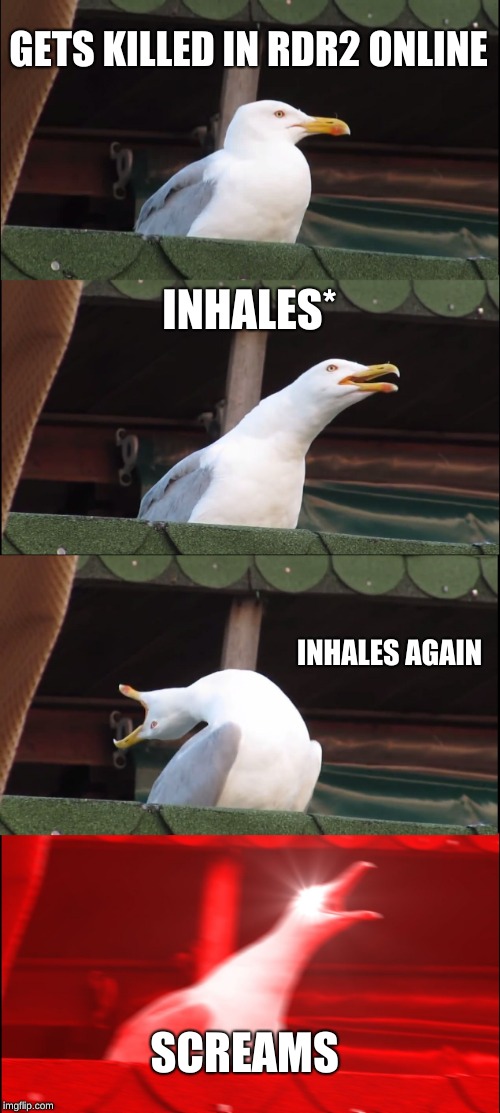 Inhaling Seagull Meme |  GETS KILLED IN RDR2 ONLINE; INHALES*; INHALES AGAIN; SCREAMS | image tagged in memes,inhaling seagull | made w/ Imgflip meme maker