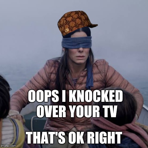 Bird Box Meme | OOPS I KNOCKED OVER YOUR TV; THAT'S OK RIGHT | image tagged in birdbox | made w/ Imgflip meme maker