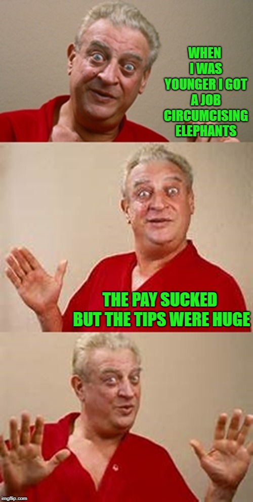 I would hate working for tips! | WHEN I WAS YOUNGER I GOT A JOB CIRCUMCISING ELEPHANTS; THE PAY SUCKED BUT THE TIPS WERE HUGE | image tagged in bad pun dangerfield,memes,jobs,funny,elephants,tips | made w/ Imgflip meme maker