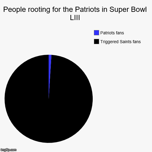 People rooting for the Patriots in Super Bowl LIII | Triggered Saints fans, Patriots fans | image tagged in funny,pie charts | made w/ Imgflip chart maker