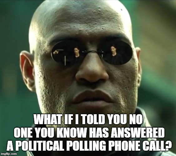 Morpheus  | WHAT IF I TOLD YOU NO ONE YOU KNOW HAS ANSWERED A POLITICAL POLLING PHONE CALL? | image tagged in morpheus | made w/ Imgflip meme maker