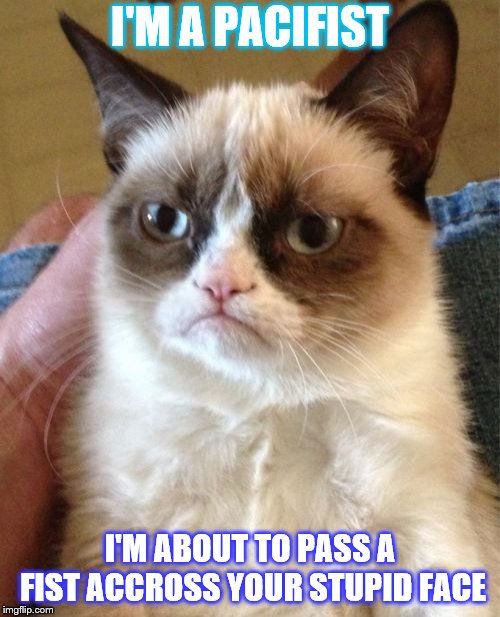 Grumpy Cat Meme | I'M A PACIFIST; I'M ABOUT TO PASS A FIST ACCROSS YOUR STUPID FACE | image tagged in memes,grumpy cat | made w/ Imgflip meme maker