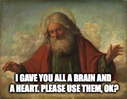 god | I GAVE YOU ALL A BRAIN AND A HEART. PLEASE USE THEM, OK? | image tagged in god | made w/ Imgflip meme maker