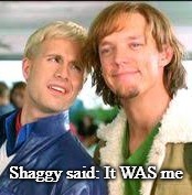 It was Shaggy | Shaggy said:
It WAS me | image tagged in smug shaggy | made w/ Imgflip meme maker