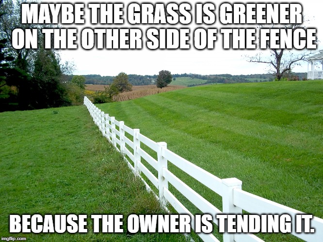Start Tending Your Own Grass | MAYBE THE GRASS IS GREENER ON THE OTHER SIDE OF THE FENCE; BECAUSE THE OWNER IS TENDING IT. | image tagged in grass,grass is greener,fence,democrats,liberals,libertarians | made w/ Imgflip meme maker