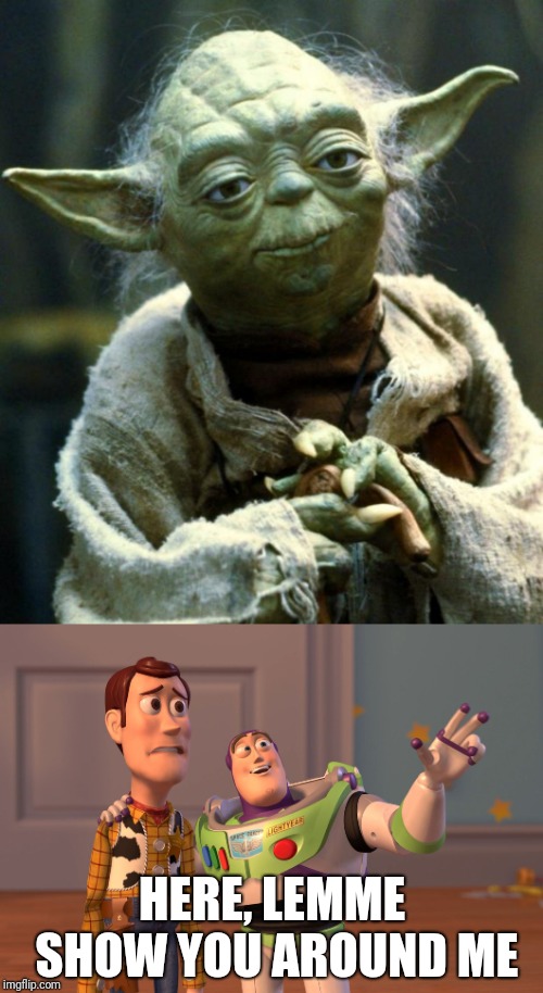 HERE, LEMME SHOW YOU AROUND ME | image tagged in memes,star wars yoda,x x everywhere | made w/ Imgflip meme maker