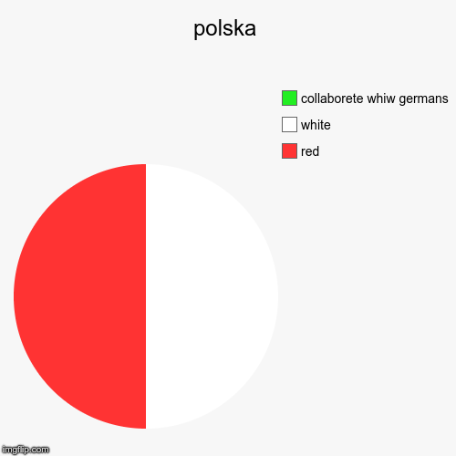 polska | red, white, collaborete whiw germans | image tagged in funny,pie charts,poland,polska,polish | made w/ Imgflip chart maker