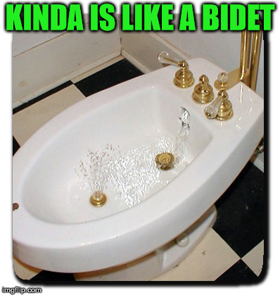 KINDA IS LIKE A BIDET | made w/ Imgflip meme maker