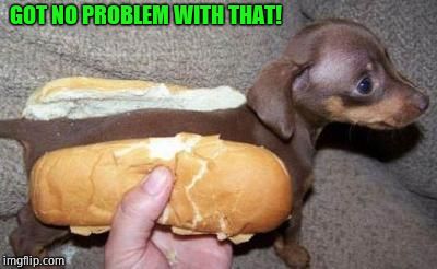 asian hot dog | GOT NO PROBLEM WITH THAT! | image tagged in asian hot dog | made w/ Imgflip meme maker