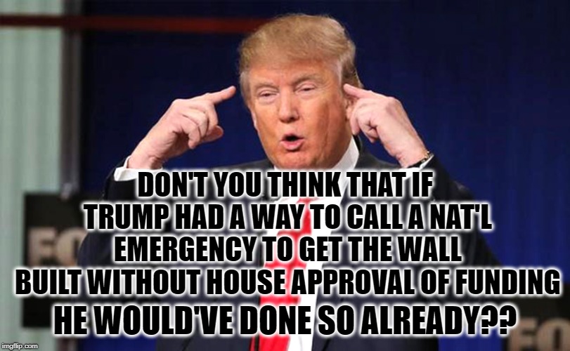 Think About It | DON'T YOU THINK THAT IF TRUMP HAD A WAY TO CALL A NAT'L EMERGENCY TO GET THE WALL BUILT WITHOUT HOUSE APPROVAL OF FUNDING; HE WOULD'VE DONE SO ALREADY?? | image tagged in donald trump,wall,government shutdown,emergency,traitor,treason | made w/ Imgflip meme maker