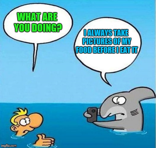 Photographer Shark | WHAT ARE YOU DOING? I ALWAYS TAKE PICTURES OF MY FOOD BEFORE I EAT IT | image tagged in memes,funny,fish are friends not food,sharks,ocean | made w/ Imgflip meme maker