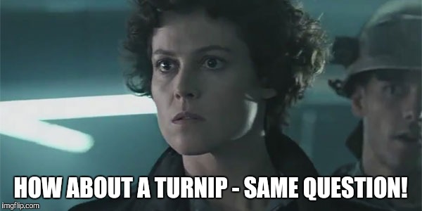 Ripley Aliens | HOW ABOUT A TURNIP - SAME QUESTION! | image tagged in ripley aliens | made w/ Imgflip meme maker