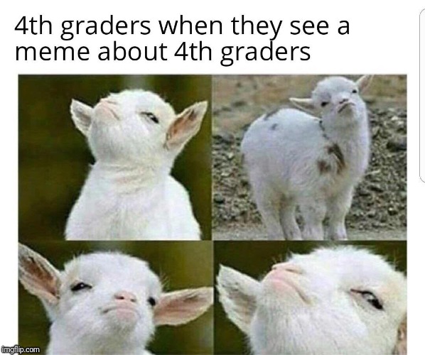 4th graders | image tagged in 4th graders,memes,funny | made w/ Imgflip meme maker
