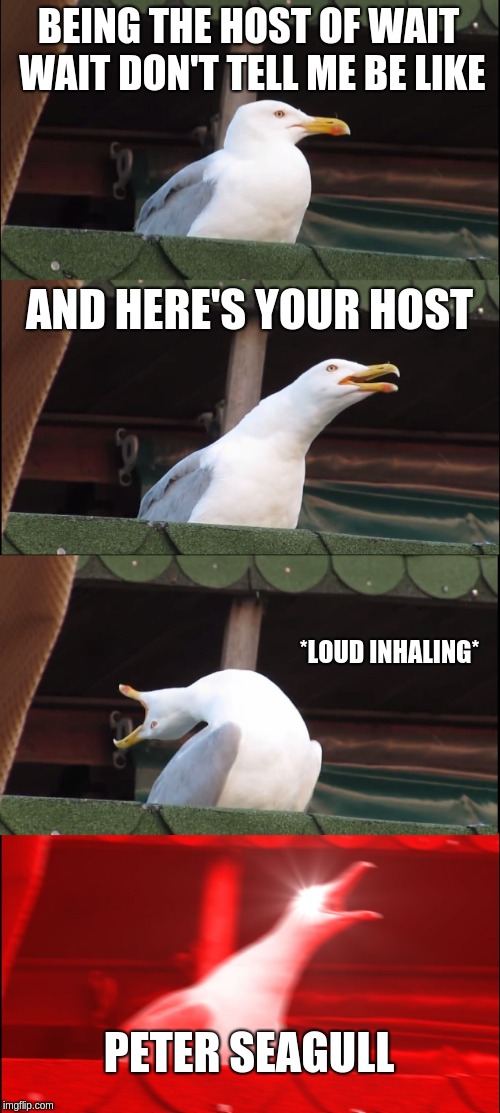 Peter Sagal (Wait wait,don't tell me) | BEING THE HOST OF WAIT WAIT DON'T TELL ME BE LIKE; AND HERE'S YOUR HOST; *LOUD INHALING*; PETER SEAGULL | image tagged in memes,inhaling seagull | made w/ Imgflip meme maker