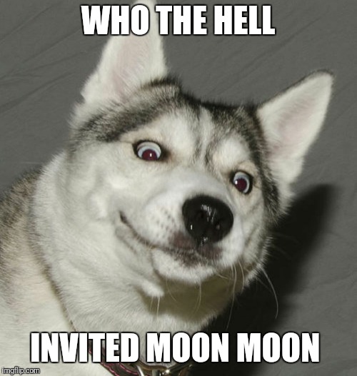  WHO THE HELL; INVITED MOON MOON | image tagged in did someone say | made w/ Imgflip meme maker