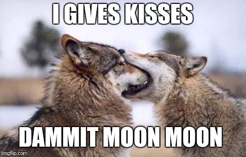 Moon Moon 2 |  I GIVES KISSES; DAMMIT MOON MOON | image tagged in moon moon 2 | made w/ Imgflip meme maker