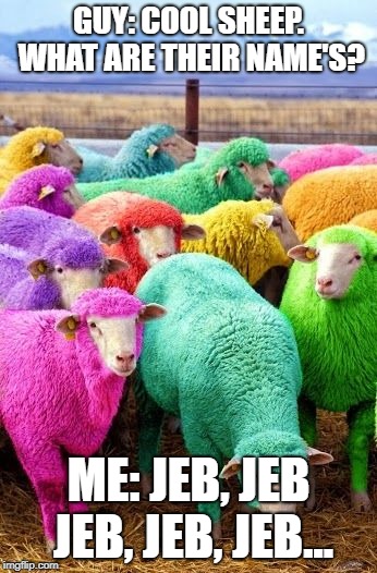 Too much Minecraft? | GUY: COOL SHEEP. WHAT ARE THEIR NAME'S? ME: JEB, JEB JEB, JEB, JEB... | image tagged in too much minecraft | made w/ Imgflip meme maker