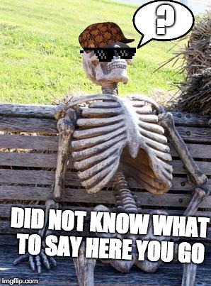 Waiting Skeleton | ? DID NOT KNOW WHAT TO SAY HERE YOU GO | image tagged in memes,waiting skeleton | made w/ Imgflip meme maker