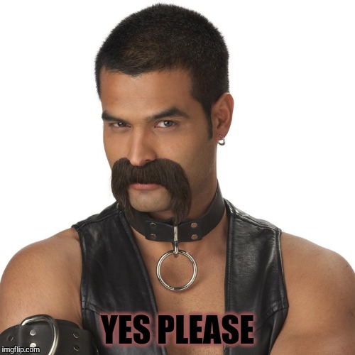 leather mustache | YES PLEASE | image tagged in leather mustache | made w/ Imgflip meme maker