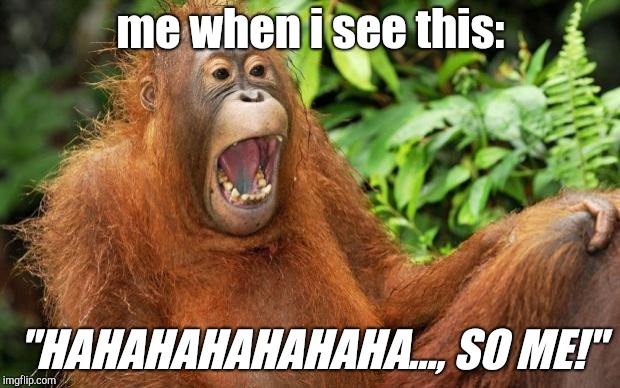 Laughing Animal | me when i see this: "HAHAHAHAHAHAHA..., SO ME!" | image tagged in laughing animal | made w/ Imgflip meme maker