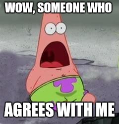 Suprised Patrick | WOW, SOMEONE WHO AGREES WITH ME | image tagged in suprised patrick | made w/ Imgflip meme maker