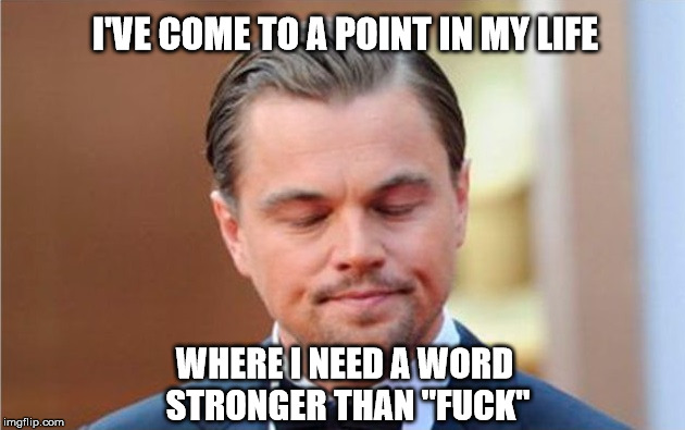 Leonardo Dicaprio | I'VE COME TO A POINT IN MY LIFE; WHERE I NEED A WORD STRONGER THAN "FUCK" | image tagged in leonardo dicaprio | made w/ Imgflip meme maker