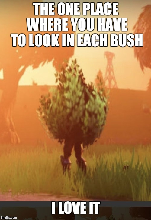 Fortnite bush | THE ONE PLACE WHERE YOU HAVE TO LOOK IN EACH BUSH I LOVE IT | image tagged in fortnite bush | made w/ Imgflip meme maker
