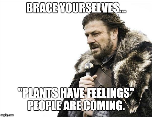 Brace Yourselves X is Coming Meme | BRACE YOURSELVES... "PLANTS HAVE FEELINGS" PEOPLE ARE COMING. | image tagged in memes,brace yourselves x is coming | made w/ Imgflip meme maker