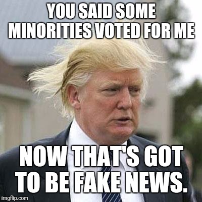 Donald Trump | YOU SAID SOME MINORITIES VOTED FOR ME; NOW THAT'S GOT TO BE FAKE NEWS. | image tagged in donald trump | made w/ Imgflip meme maker