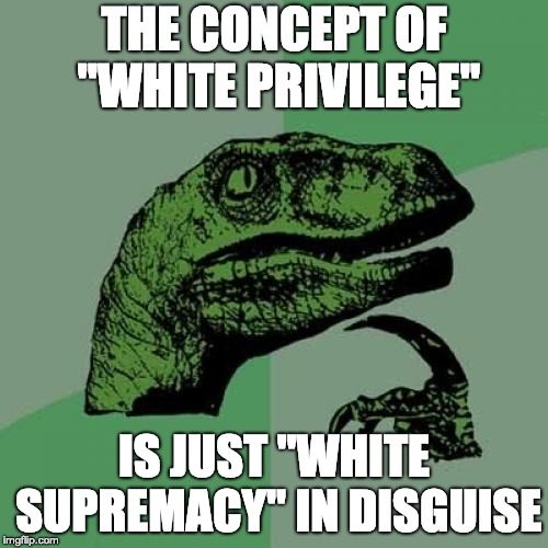 Do whites rule the world? |  THE CONCEPT OF "WHITE PRIVILEGE"; IS JUST "WHITE SUPREMACY" IN DISGUISE | image tagged in memes,philosoraptor | made w/ Imgflip meme maker