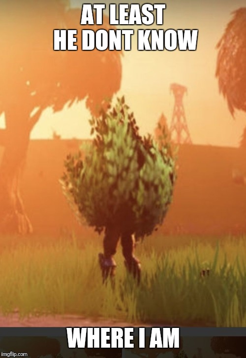Fortnite bush | AT LEAST HE DONT KNOW WHERE I AM | image tagged in fortnite bush | made w/ Imgflip meme maker