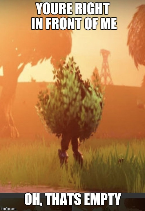 Fortnite bush | YOURE RIGHT IN FRONT OF ME OH, THATS EMPTY | image tagged in fortnite bush | made w/ Imgflip meme maker